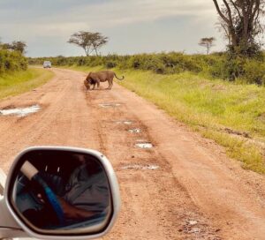 self game drive uganda